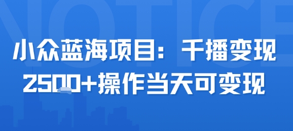 小众蓝海项目，千播变现2.5k+操作当天可变现-赚钱网