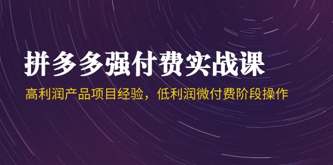 （14874期）拼多多强付费实战课-44期，高利润产品项目经验，低利润微付费阶段操作-赚钱网