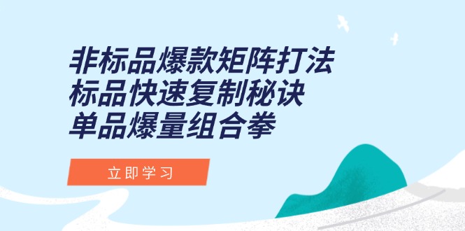 非标品爆款矩阵打法，标品快速复制秘诀，单品爆量组合拳-赚钱网