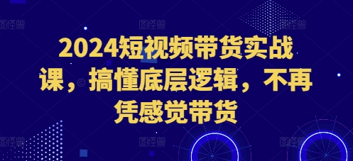 2024短视频带货实战课，搞懂底层逻辑，不再凭感觉带货-赚钱网