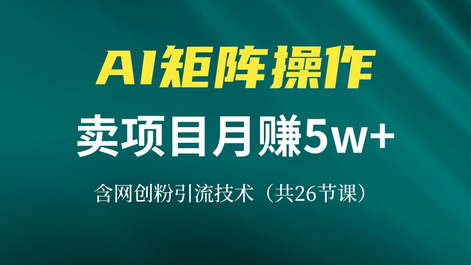 （13335期）网创IP打造课，借助AI卖项目月赚5万+，含引流技术（共26节课）-赚钱网
