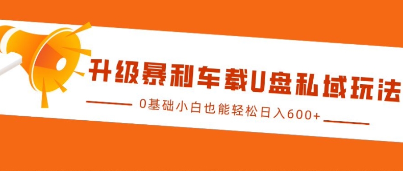 升级暴利车载U盘私域玩法，0基础小白也能轻松日入多张【揭秘】-赚钱网