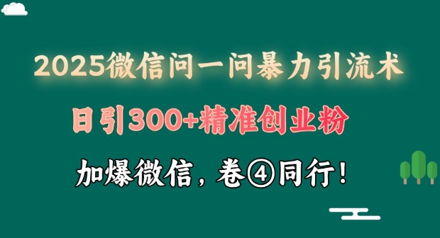 2025最新微信问一问暴力引流术揭秘，日引300+创业粉，单日变现四位数-赚钱网