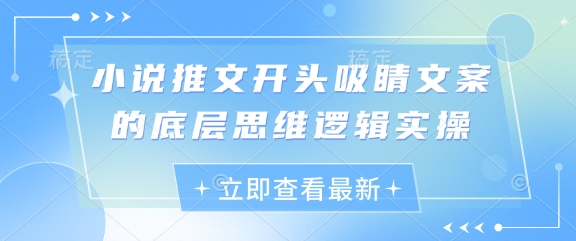 小说推文开头吸睛文案的底层思维逻辑实操-赚钱网