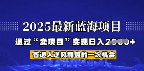 2025年首次揭秘如何通过“网创项目”日入多张【揭秘】-赚钱网