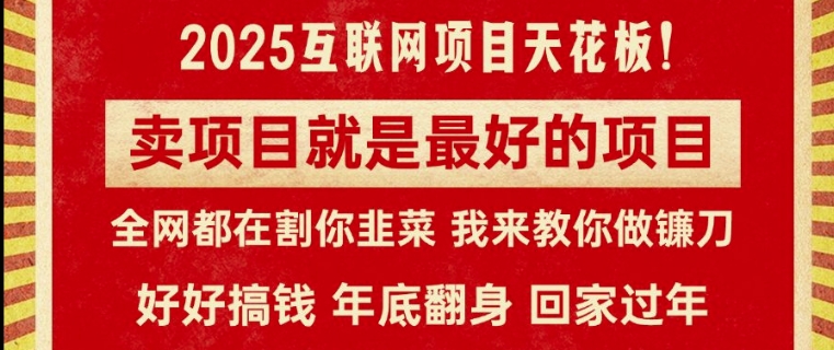 卖项目就是最好的项目，2025年互联网项目天花板-赚钱网