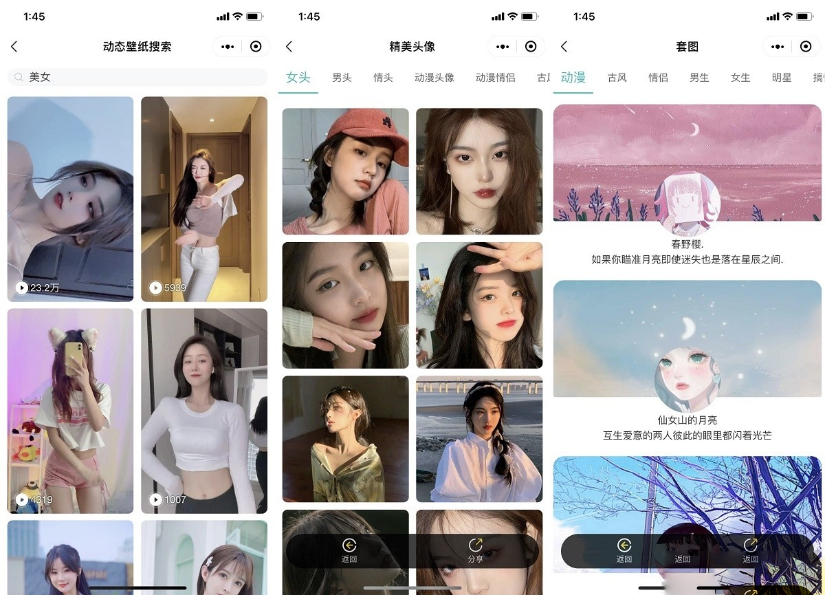 云开发壁纸小程序源码/新版大气UI微信QQ双端壁纸小程序源码插图1