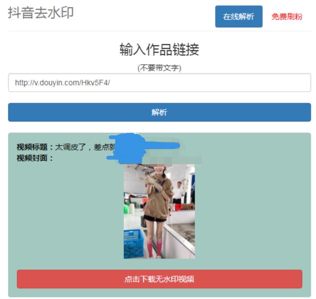 抖音在线去水印网站PHP源码-赚钱网