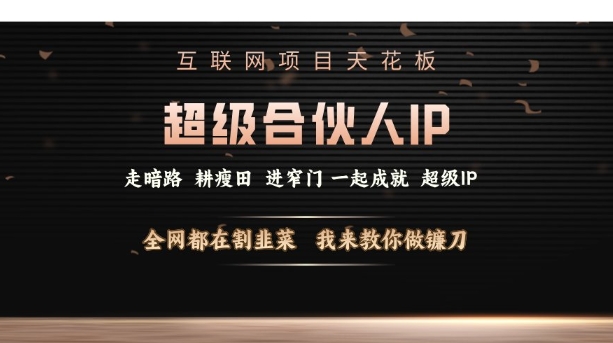 互联网项目天花板，超级合伙人IP，全网都在割韭菜，我来教你做镰刀【仅揭秘】-赚钱网