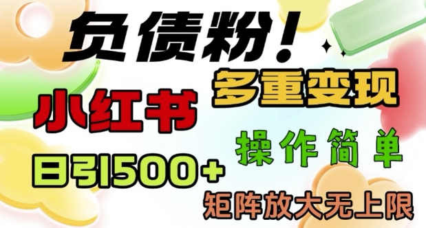 2月最新小红书日引500+负债粉，多重变现轻松过W，矩阵放大无上限-赚钱网
