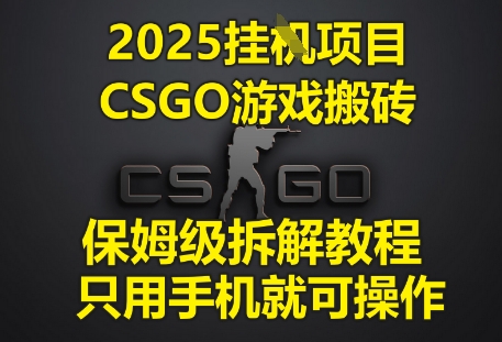 2025挂G项目，CSGO游戏搬砖，保姆级拆解教程，只用手机就可操作【揭秘】-赚钱网