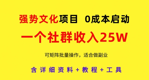 强势文化项目，一个社群收入25个W，0成本启动，可矩阵批量操作，原创详细实操教程-赚钱网
