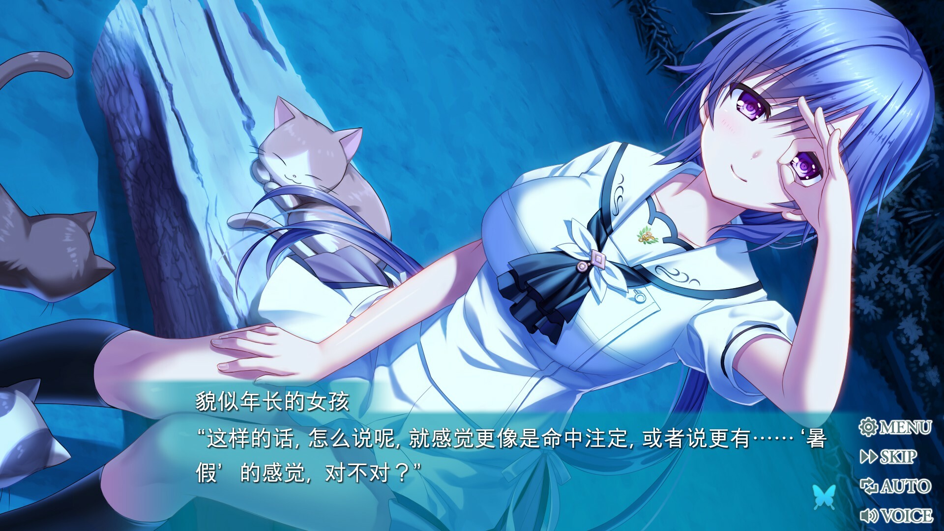 夏日口袋：流光蓝/Summer Pockets REFLECTION BLUE插图5