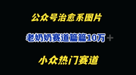 公众号老奶奶治愈系流量主，篇篇10W+-赚钱网
