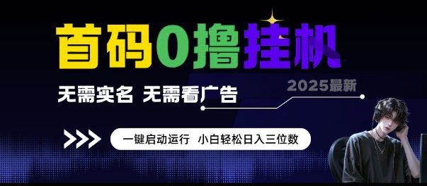 首码0撸挂G项目，无需实名无需看广告 一键启动运行，小白轻松日入三位数【揭秘】-赚钱网