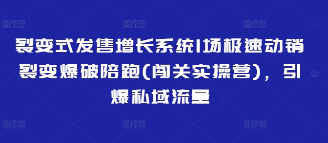 裂变式发售增长系统1场极速动销裂变爆破陪跑(闯关实操营)，引爆私域流量-赚钱网