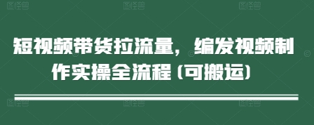 短视频带货拉流量，编发视频制作实操全流程(可搬运)-赚钱网