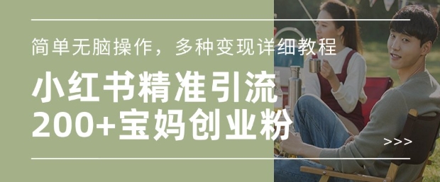 小红书混剪日引200+宝妈创业粉，简单无脑操作，多种变现详细教程-赚钱网