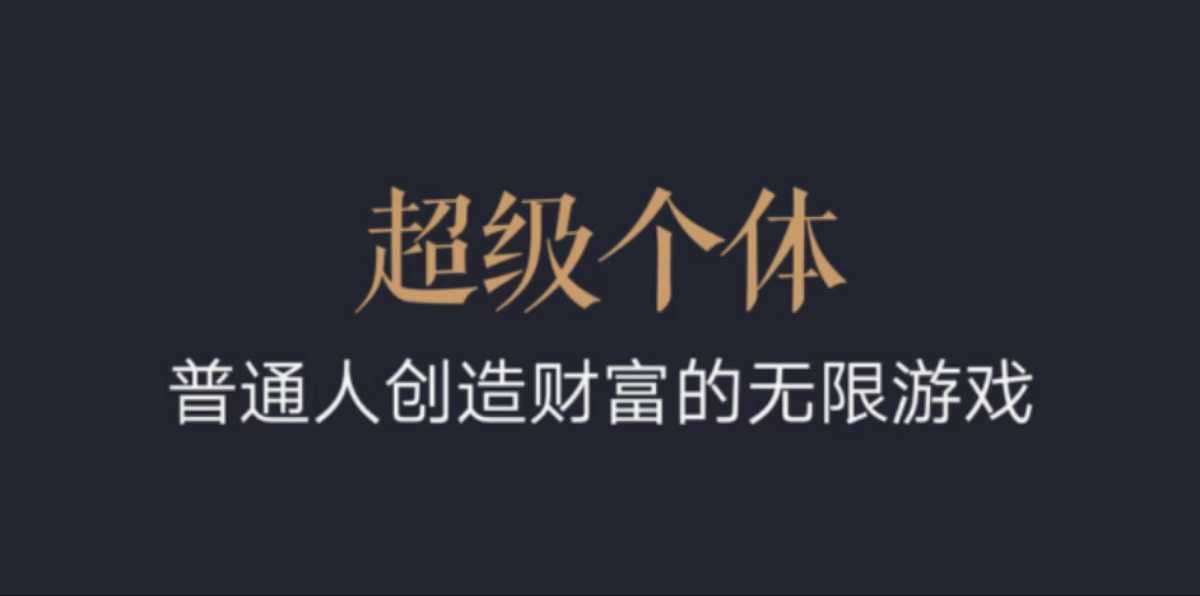超级个体：2024-2025翻盘指南，普通人创造财富的无限游戏-赚钱网