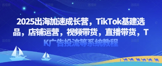 2025出海加速成长营，TikTok基建选品，店铺运营，视频带货，直播带货，TK广告投流等系统教程-赚钱网