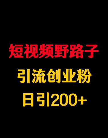 短视频野路子引流创业粉，日引200+-赚钱网