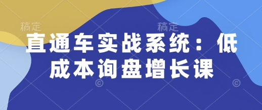 直通车实战系统：低成本询盘增长课，让个人通过技能实现升职加薪，让企业低成本获客，订单源源不断-赚钱网