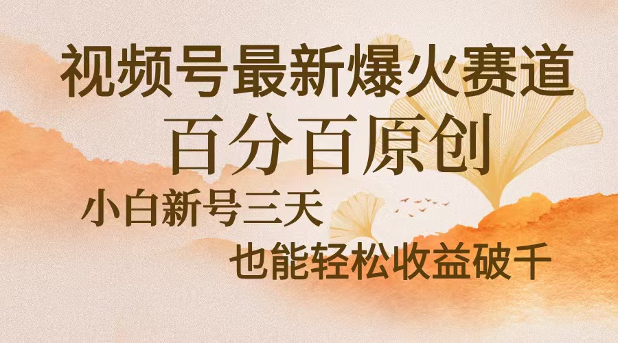 （13225期）视频号最新爆火赛道，中老年粉深信不疑，百分百原创，新号三天收益轻松…-赚钱网