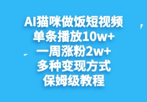 AI猫咪做饭短视频，单条播放10w+，一周涨分2w+，多种变现方式，保姆级教程-赚钱网