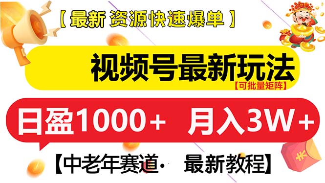 （13530期）视频号最新玩法 中老年赛道 月入3W+-赚钱网
