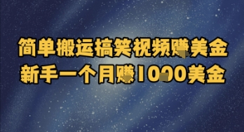 简单搬运搞笑视频挣美金，新手一个月入1k美金-赚钱网