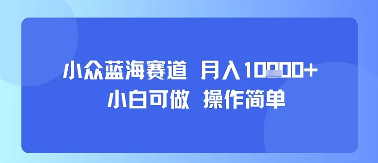 小众蓝海赛道，小白可做，操作简单，每天30分钟，月入1W+-赚钱网