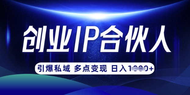 云帆·创业ip合伙人打造3.0，从0到1教你做网创，实现月入过W-赚钱网