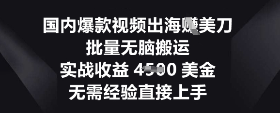 国内爆款视频出海挣美刀，批量无脑搬运，实战收益4.5k，无需经验直接上手-赚钱网