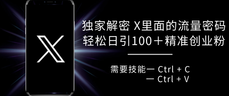 独家解密 X 里面的流量密码，复制粘贴轻松日引100+-赚钱网