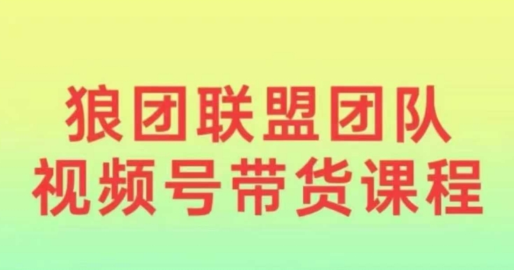 狼团联盟2024视频号带货，0基础小白快速入局视频号-赚钱网