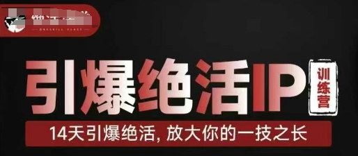 引爆绝活IP训练营，14天引爆绝活，放大你的一技之长-赚钱网