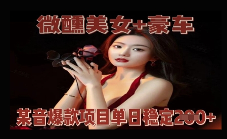 微醺美女+豪车，抖音爆款项目单日稳定2张+-赚钱网