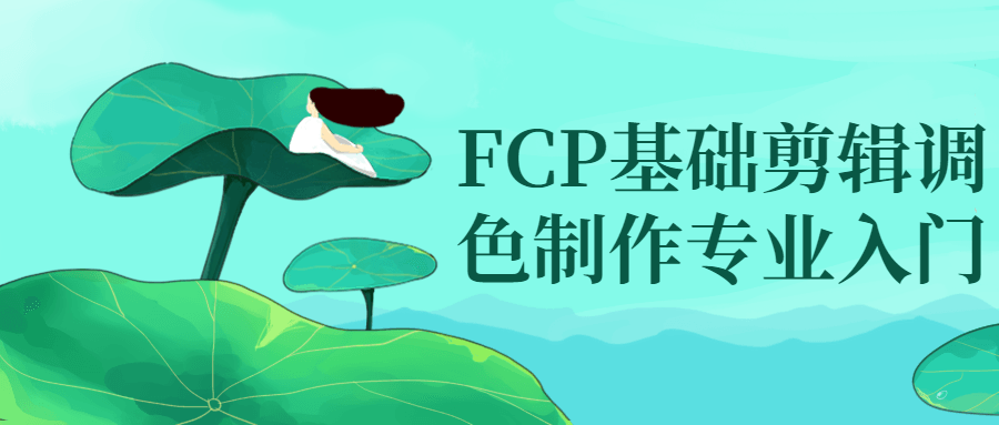 FCP基础剪辑调色制作专业入门-赚钱网