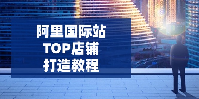 （14269期）阿里国际站TOP店铺打造教程：涵盖平台到高阶，解决运营难题，提升询盘-赚钱网