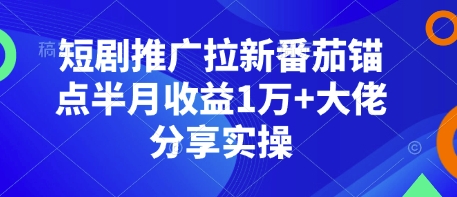 短剧推广拉新番茄锚点半月收益1万+大佬分享实操-赚钱网