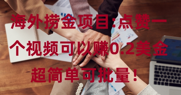 海外捞金项目点赞一个视频可以赚0.2美金，超简单可批量!-赚钱网