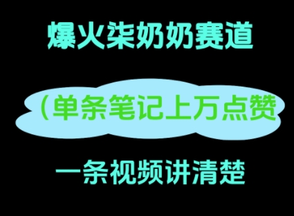 小红书爆火柒奶奶，13 天涨粉 8.7 W，全流程拆解-赚钱网