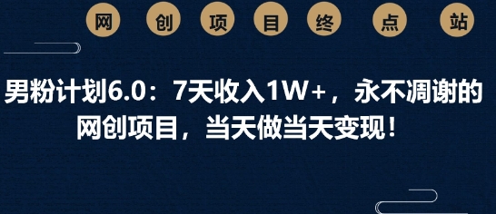 男粉计划6.0：7天收入1W+，永不凋谢的网创项目，当天做当天变现-赚钱网