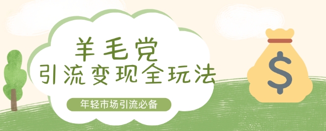羊毛党引流变现全玩法，年轻市场引流必备-赚钱网