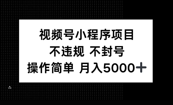 视频号小程序项目，不违规不封号，操作简单 月入5000+-赚钱网