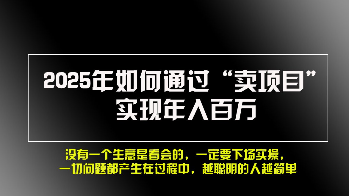 （13468期）2025年如何通过“卖项目”实现年入百万，做网赚必看！！-赚钱网