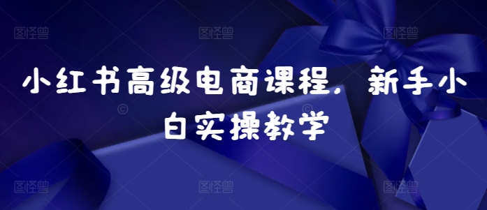 小红书高级电商课程，新手小白实操教学-赚钱网