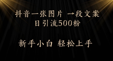 每天2分钟，抖音一张图片 一段文案日引流500粉-赚钱网