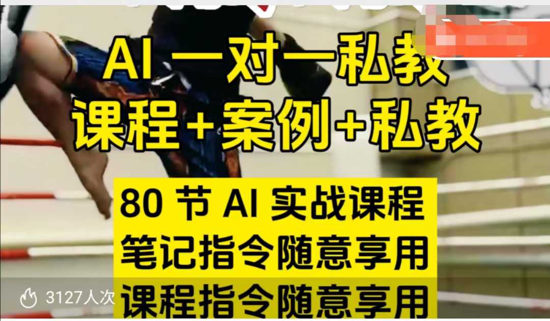 AI指令实战课，课程+案例，80节AI实战课程，笔记指令随意享用，课程指令随意享用-赚钱网