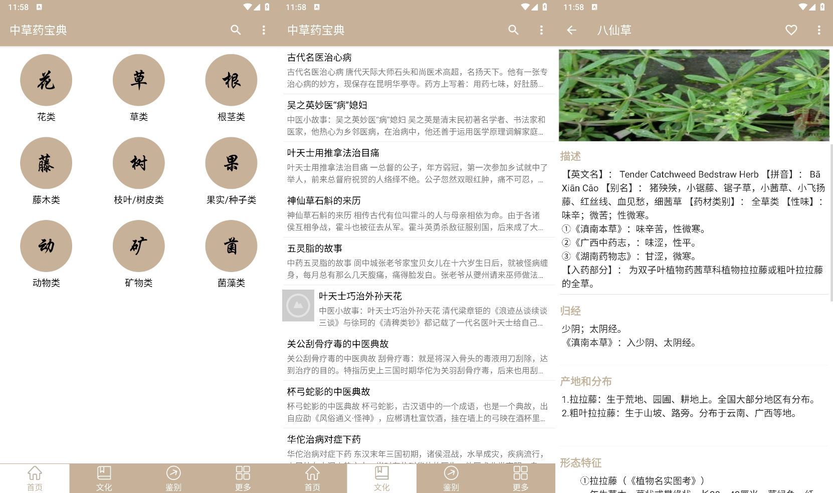 安卓中草药宝典v2.6.12纯净版-赚钱网